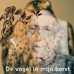 De Vogel in mijn Borst