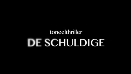 De Schuldige