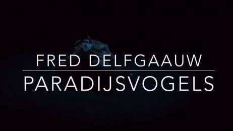 trailer Paradijsvogels 